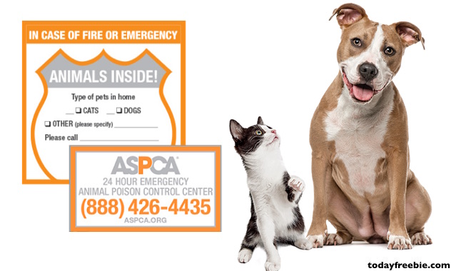 FREE ASPCA Pet Safety Pack Free Stuff Free Samples